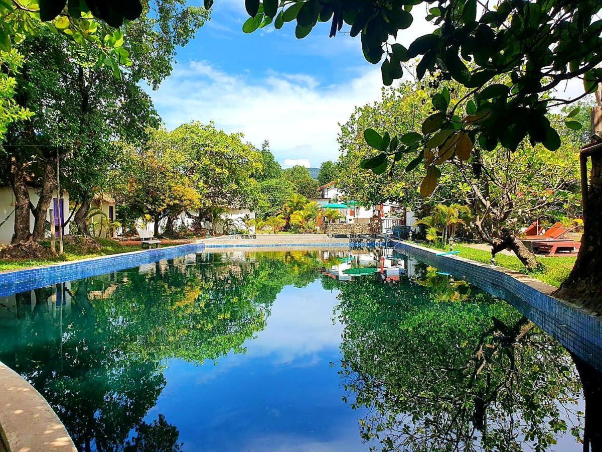 Bohemiaz Resort And Spa Kampot Extérieur photo